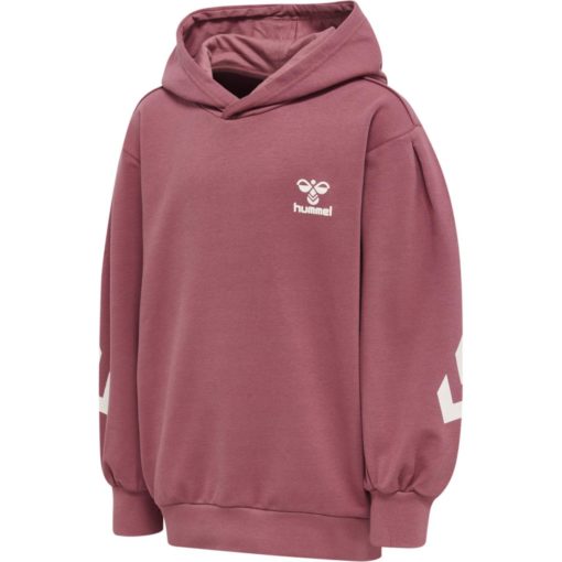 Hummel  Hmldue Hoodie jr