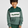 Hummel  Hmlmorten Hoodie