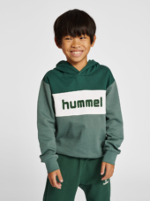 Hummel  Hmlmorten Hoodie