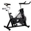 Nordic  205 indoor bike