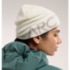 ArcTeryx  Word Head Toque