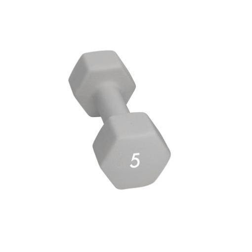 Abilica  Dumbbell 5 Kg