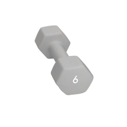 Abilica  Dumbbell 6 Kg