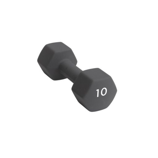 Abilica  Dumbbell 10 Kg