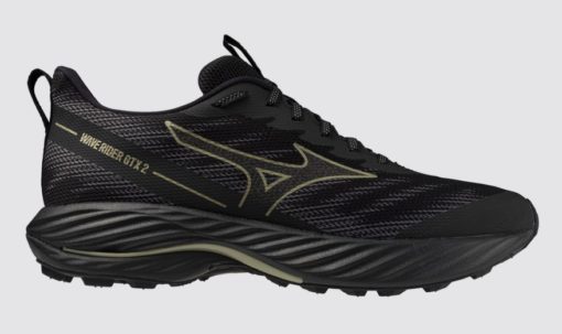 Mizuno Wave Rider Gtx 2