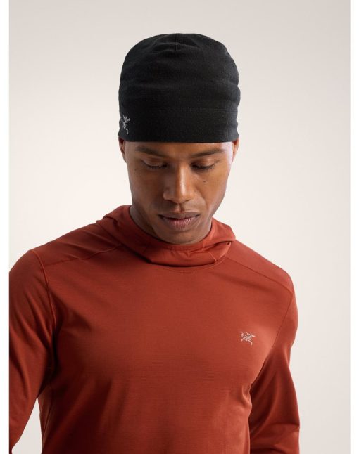 ArcTeryx  Rho Lightweight Wool Toque