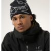 ArcTeryx  Bird Head Toque