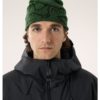 ArcTeryx  Bird Head Toque