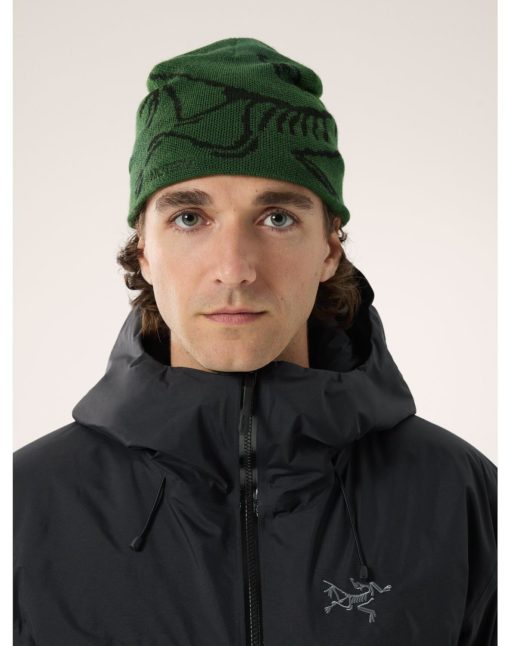 ArcTeryx  Bird Head Toque