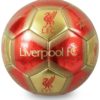 Hy-Pro Liverpool FC Size 5 Signature Football