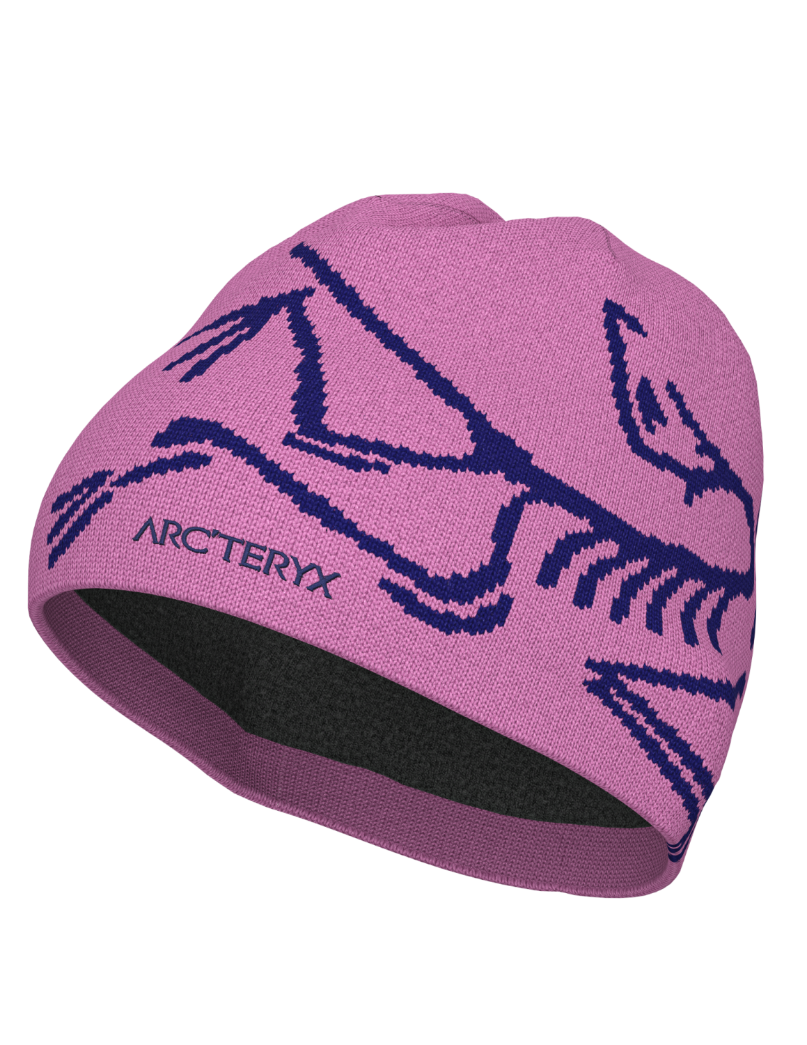 ArcTeryx  Bird Head Toque