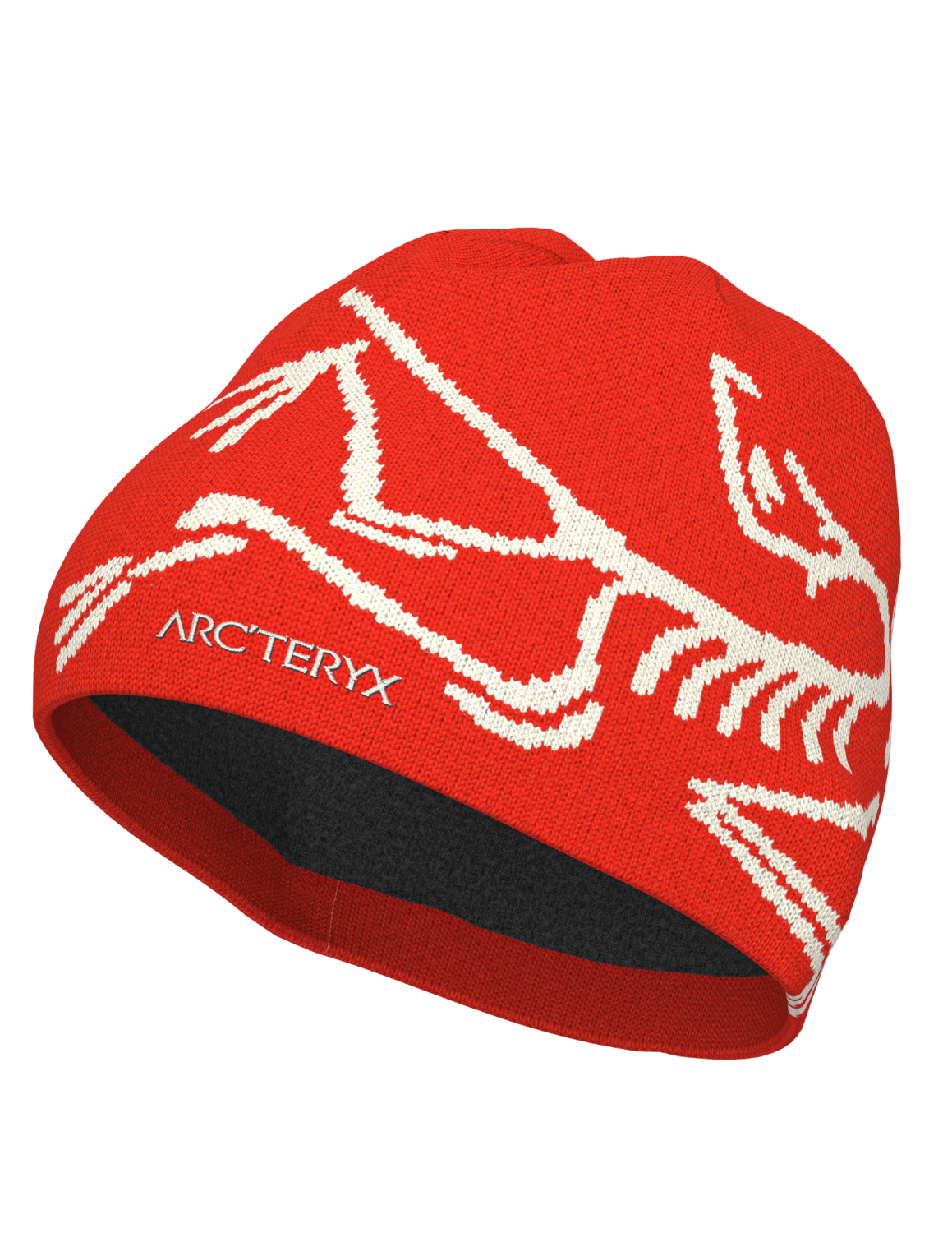 ArcTeryx  Bird Head Toque