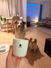 sögne krus hvit dog mom