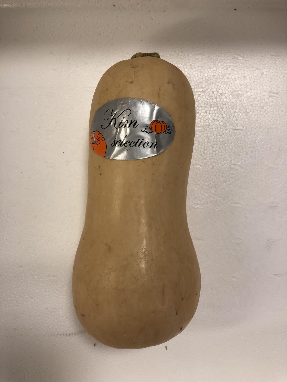 'Flaskegresskar Bottle Pumpkin PR KG