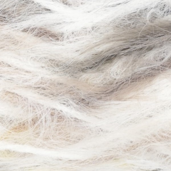 gallery-81-for-409-2024