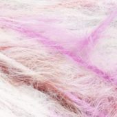 gallery-83-for-409-2025