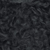 gallery-155-for-105-3006