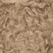 gallery-157-for-105-3007