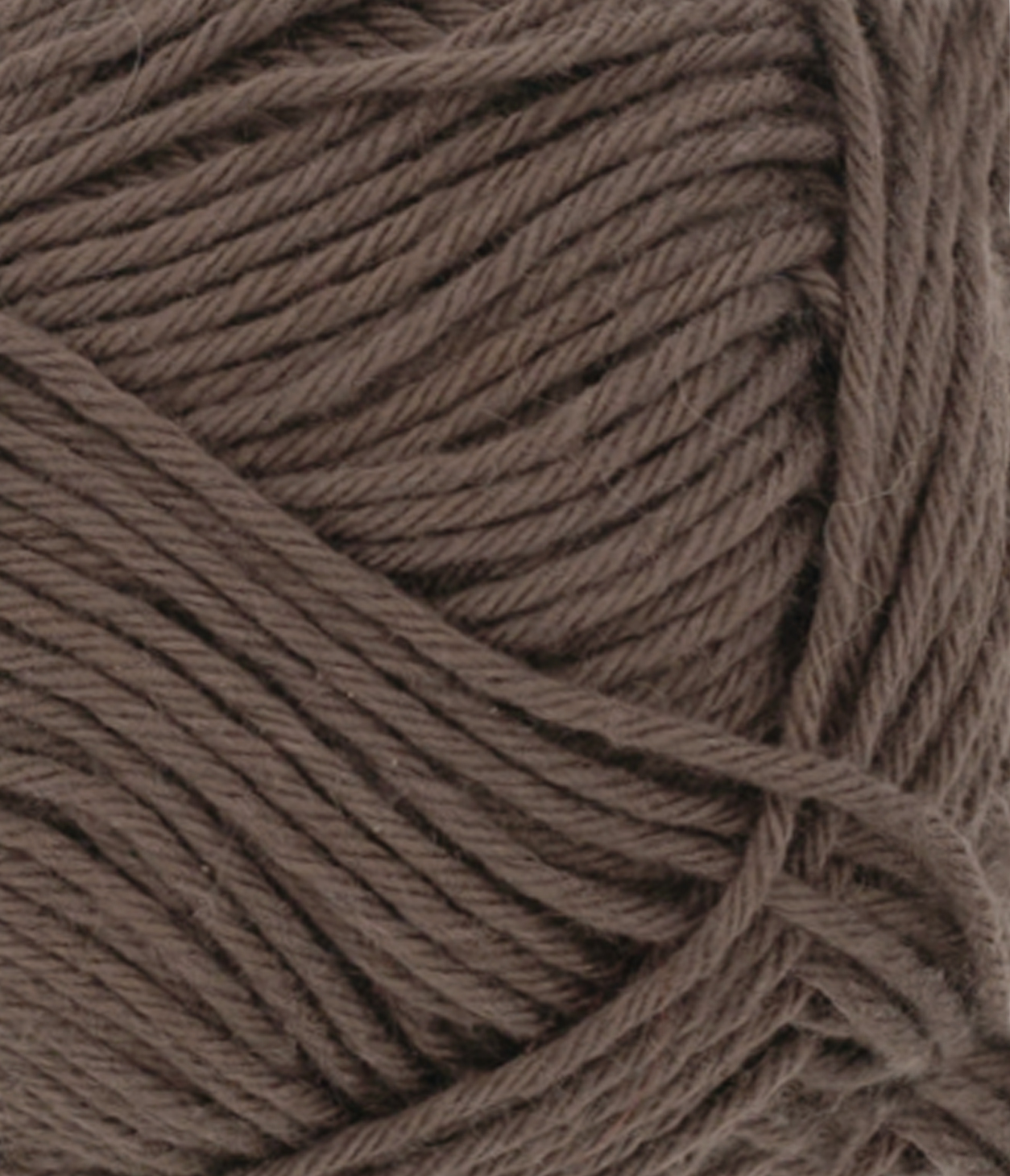 gallery-260-for-31012581