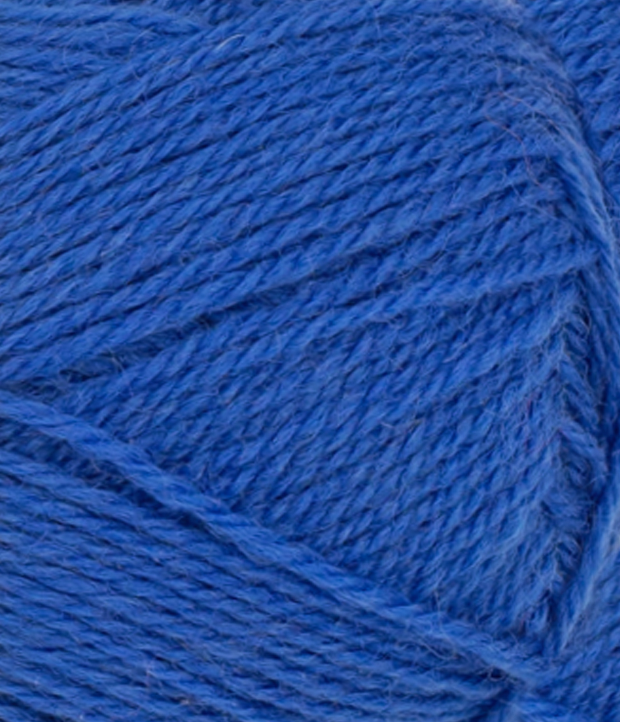 gallery-398-for-11005845