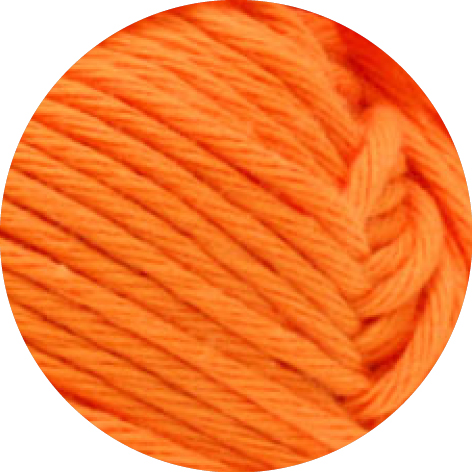 gallery-487-for-5680002