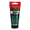 Amsterdam Expert 75ml - 619 perm. green deep