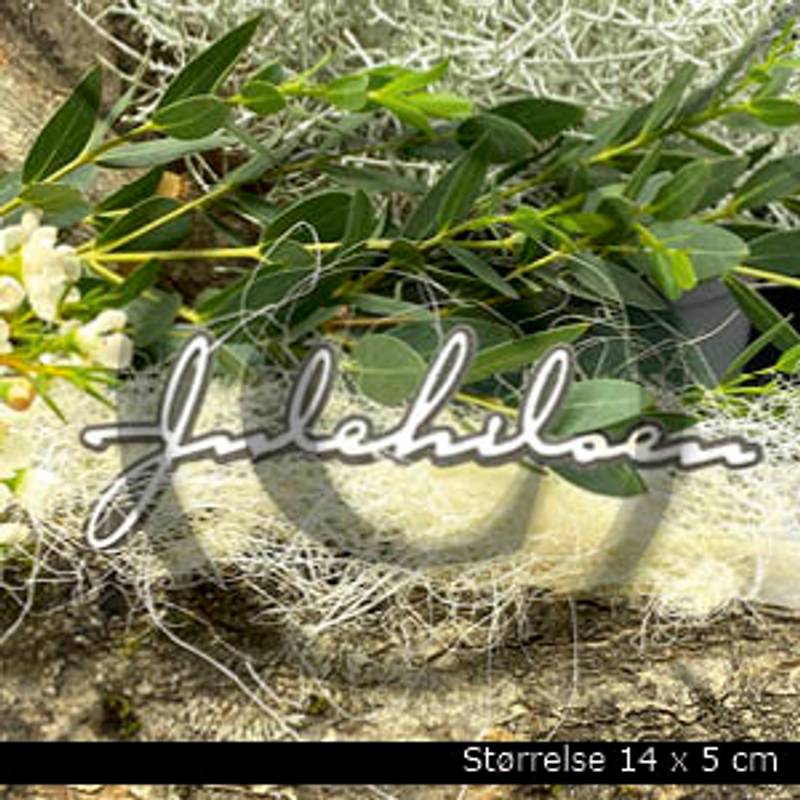 PD Dies Julehilsen 5