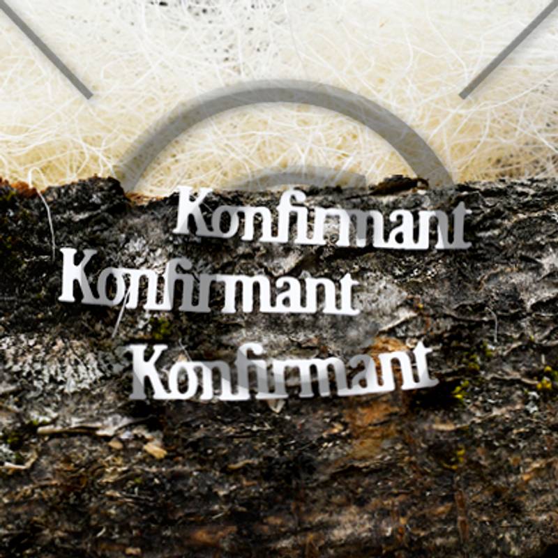 PD Dies Konfirmant 27