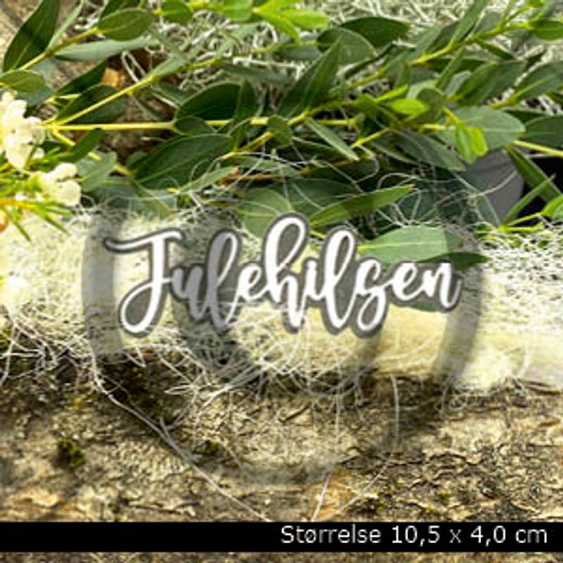 PD Dies Julehilsen 6