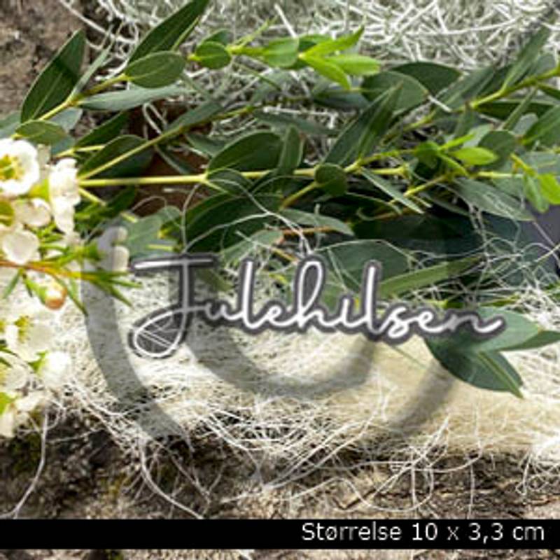 PD Dies Julehilsen 7