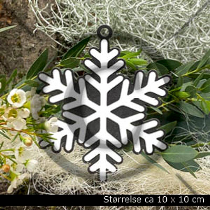 PD Dies Snøkrystall 7