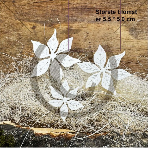 PD Dies Julestjerner 3