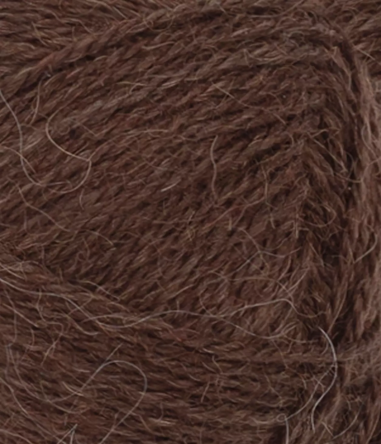 gallery-1843-for-11543091