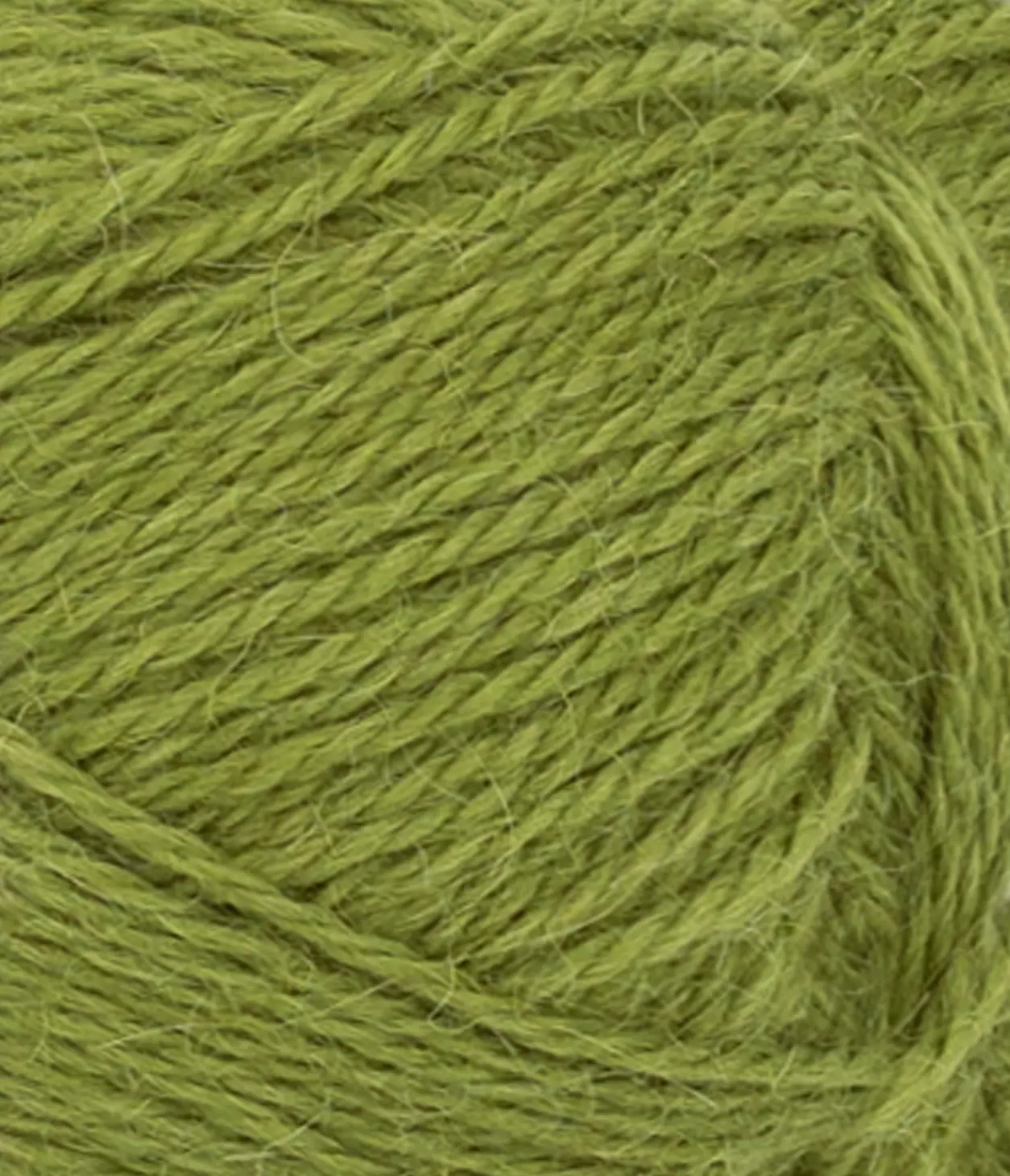 gallery-1845-for-111549564