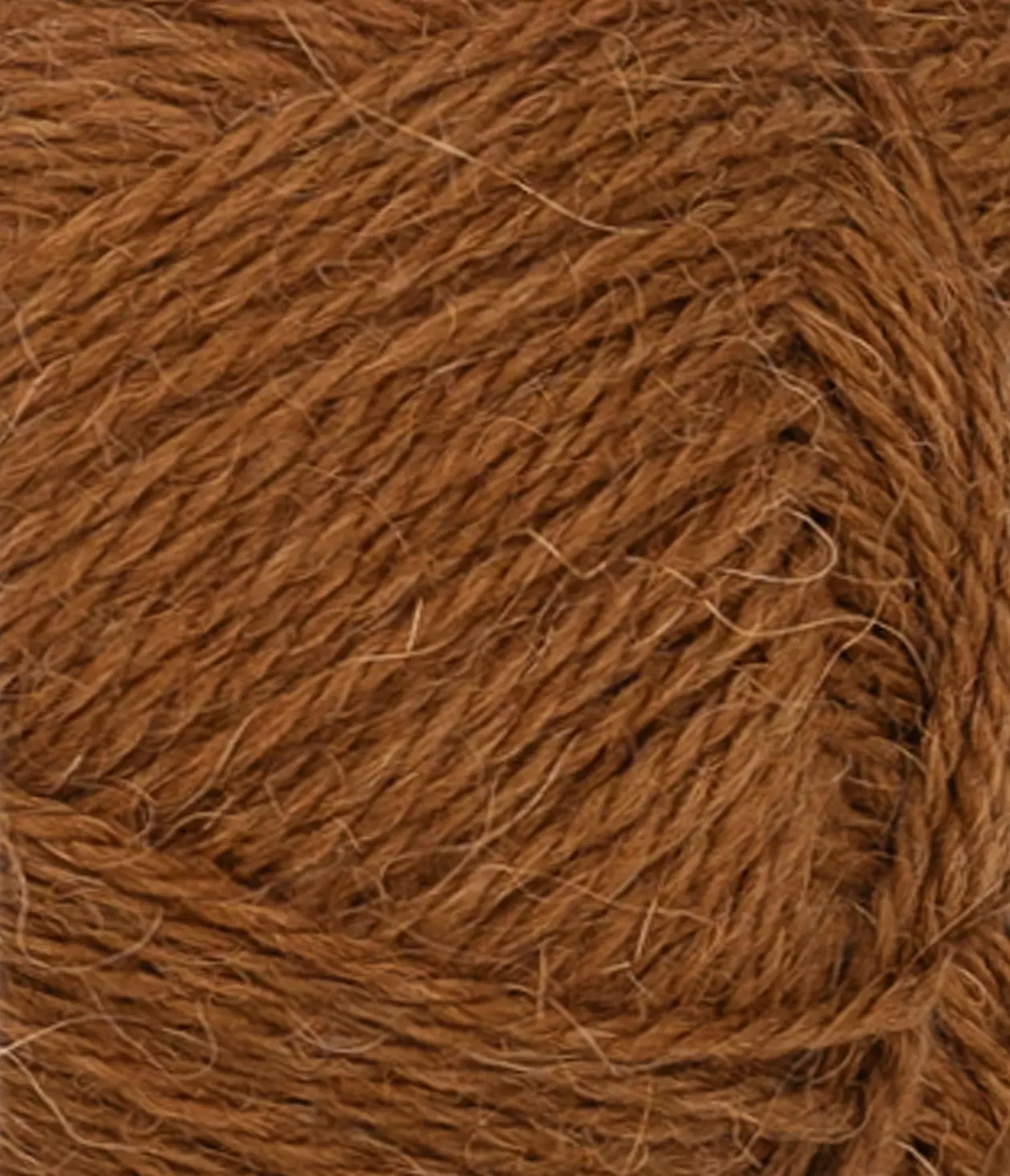 gallery-1846-for-11542573