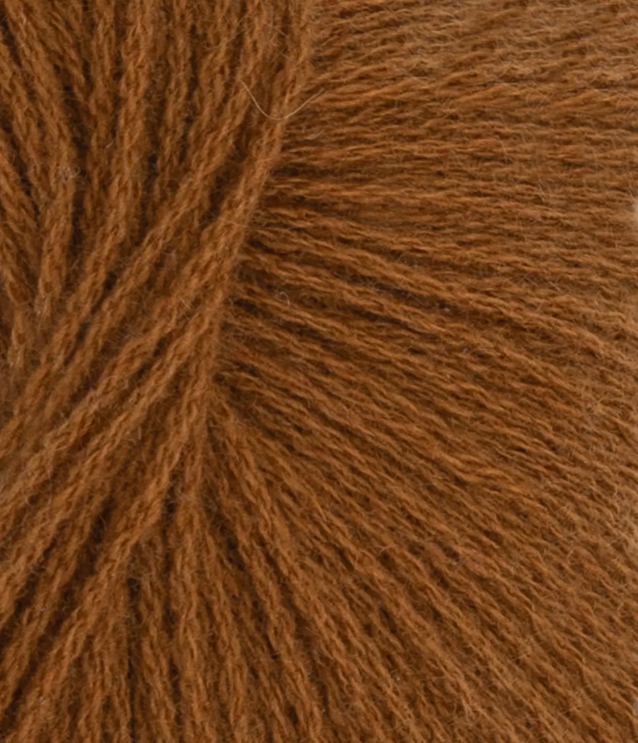 gallery-1852-for-11642573