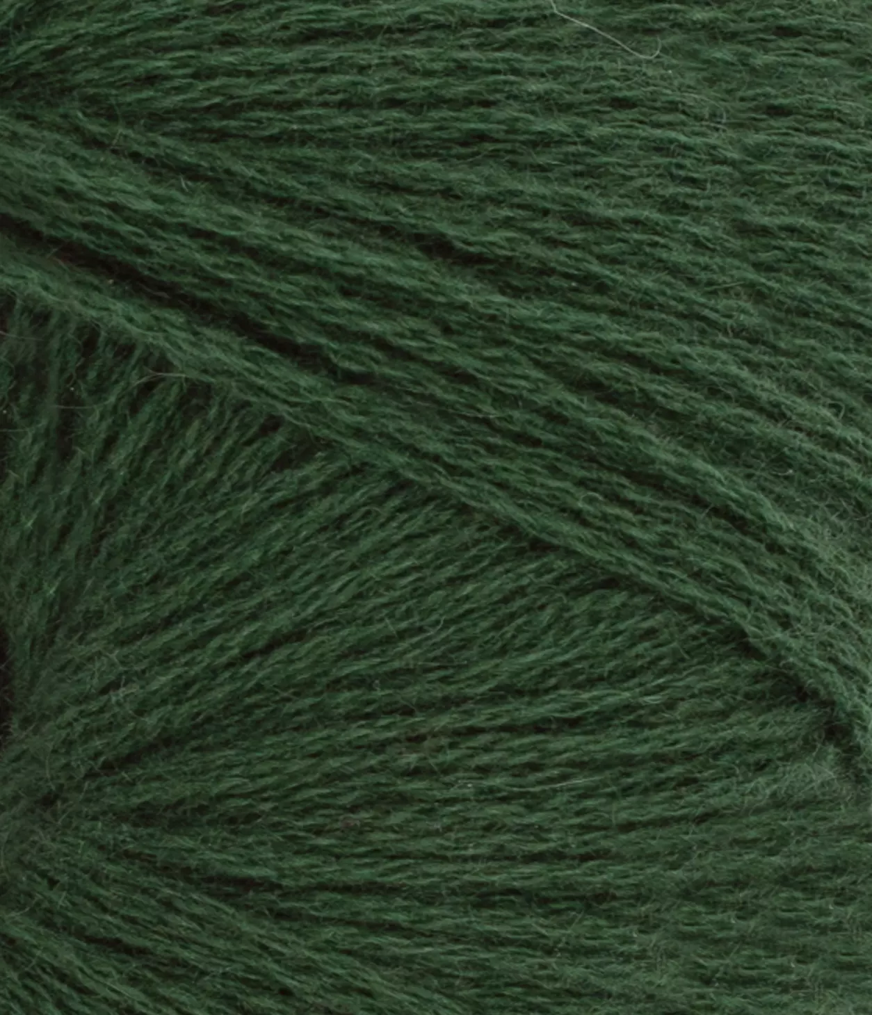 gallery-1862-for-11648082