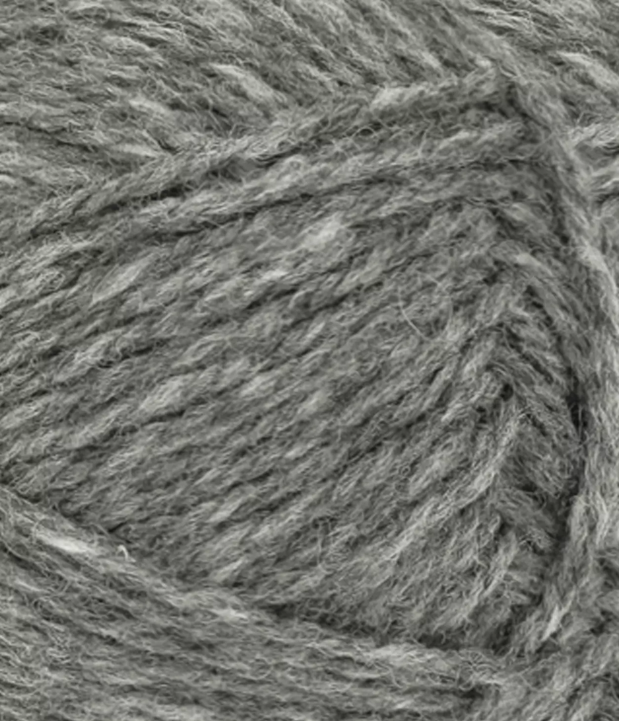 gallery-1981-for-21041055