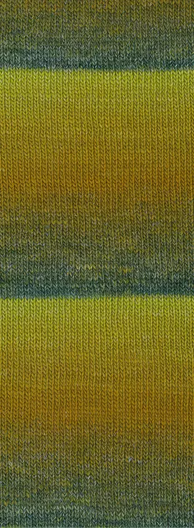 gallery-2020-for-15524035