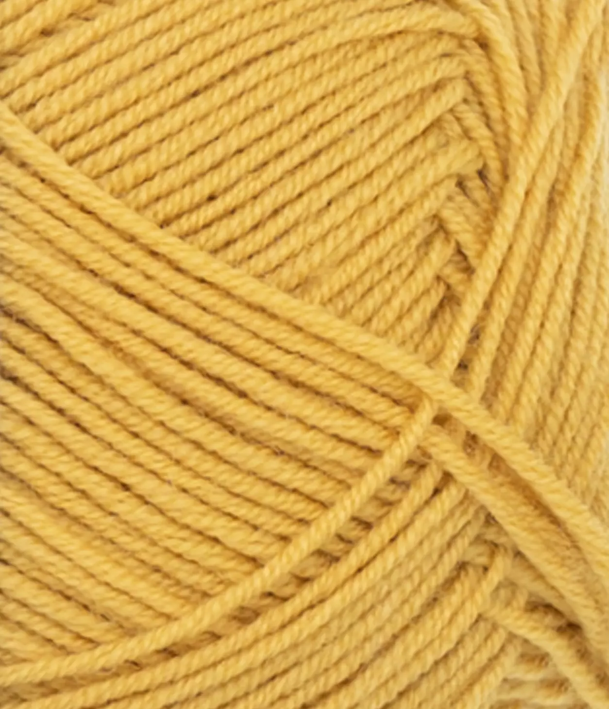 gallery-2028-for-11872025