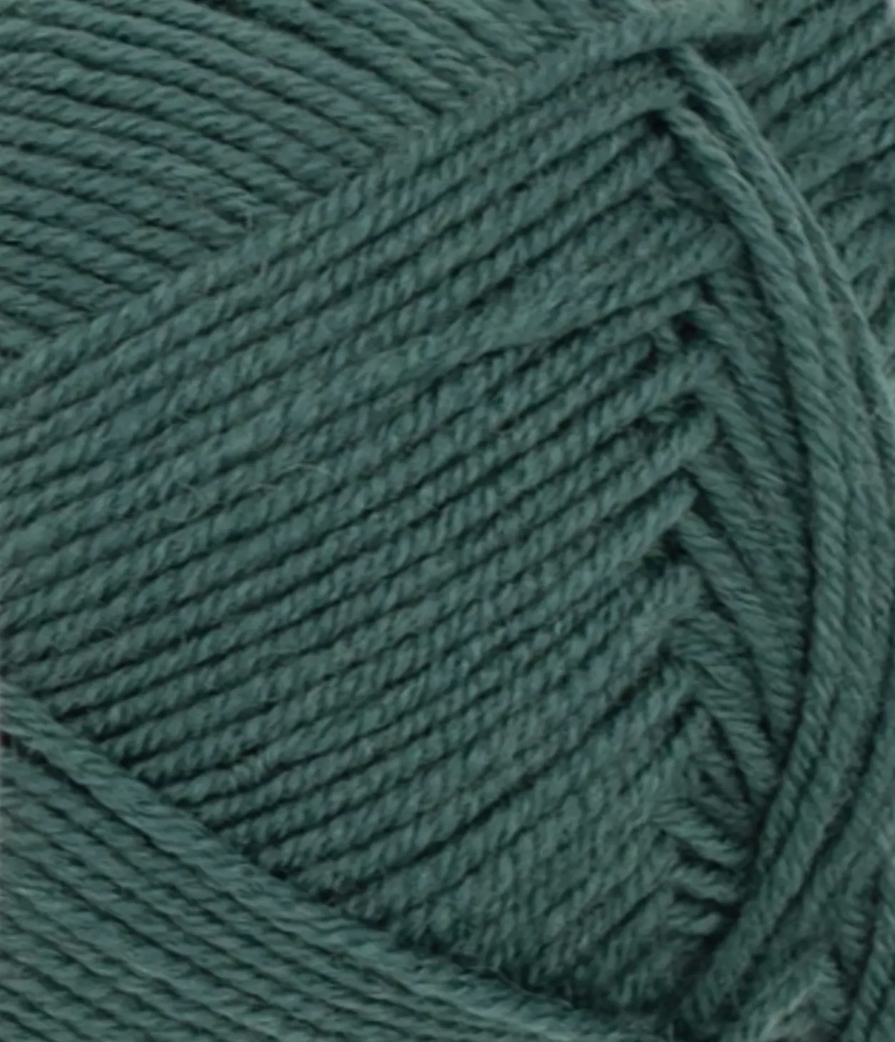 gallery-2031-for-11877271