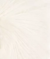 gallery-2044-for-11931001