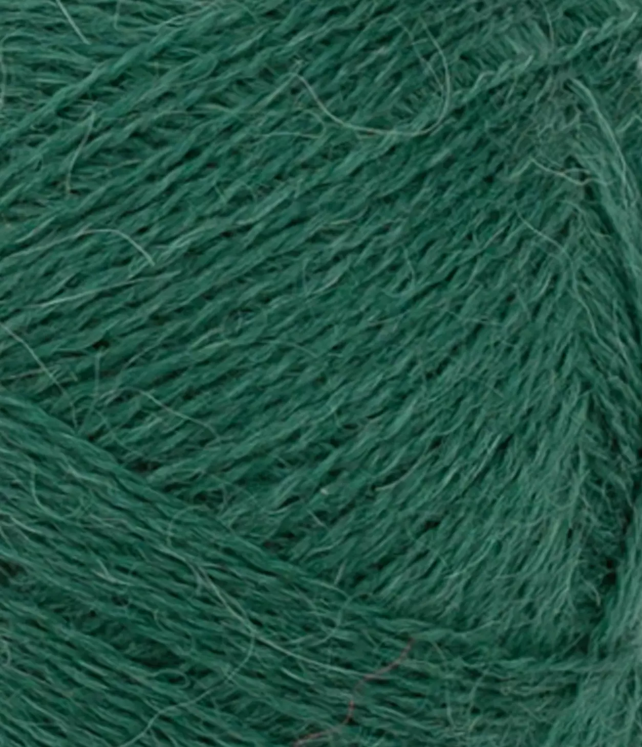 gallery-2141-for-11557772