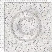 PD ark Fotballspillere