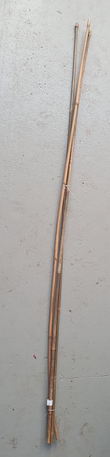 Bambuspinner 3 pk 180 cm