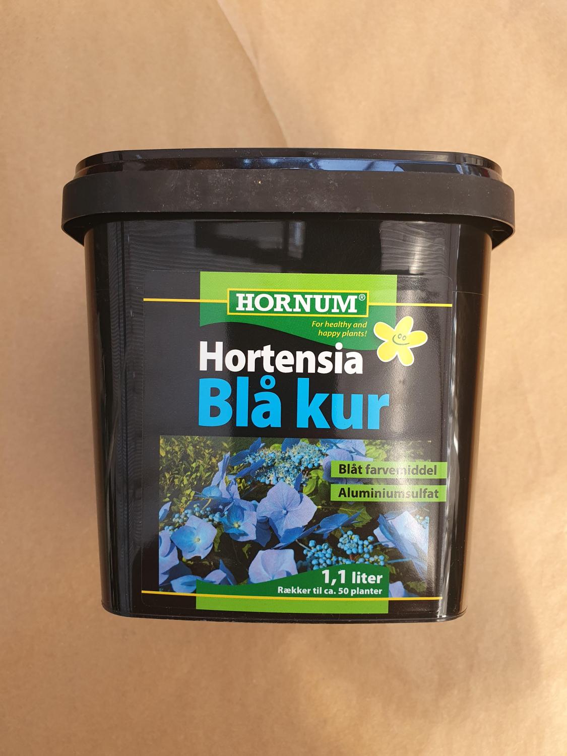 Hortensia Blå kur