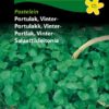 Portulakk, Vinter-