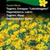 Fløyelsblomst, Lakris-