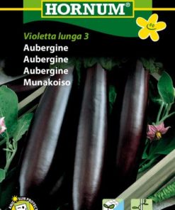 Aubergine