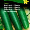 Agurk, Asie-, Frilands-